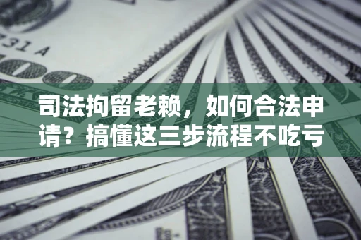 北京司法拘留老赖，如何合法申请？搞懂这三步流程不吃亏！