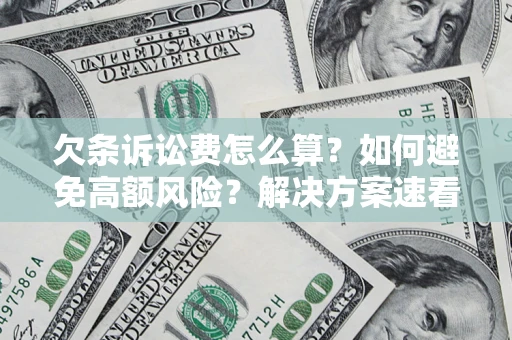 北京欠条诉讼费怎么算？如何避免高额风险？解决方案速看！