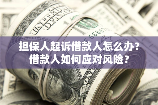 北京担保人起诉借款人怎么办？借款人如何应对风险？