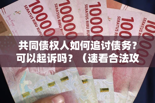 北京共同债权人如何追讨债务？可以起诉吗？（速看合法攻略）